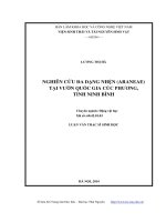 Nghiên cứu đa dạng nhện (araneae) tại vườn quốc gia cúc phương, tỉnh ninh bình 