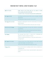 thành ngữ tiếng anh về động vật 