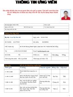 Mẫu CV việt 