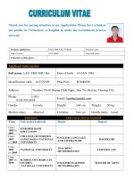 Mẫu CV anh 