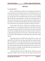Phát triển hoạt động thanh toán thẻ tại Ngân hàng thương mại cổ phần Sài Gòn Thương Tín Chi nhánh Tiền Giang