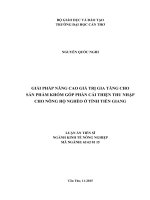 Giải pháp nâng cao giá trị gia tăng cho sản phẩm khóm góp phần cải thiện thu nhập cho nông hộ nghèo ở tỉnh tiền giang 