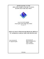 khảo sát hoạt tính enzyme protease trích ly từ aspergillus oryzae trên môi trường rắn