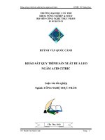 khảo sát quy trình sản xuất dưa leo ngâm acid citric