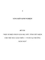 SKKN một số biện pháp giáo dục đức tính tiết kiệm cho trẻ mẫu giáo 