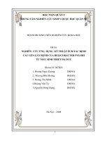 NGHIÊN  CỨU ỨNG  DỤNG  KỸ THUẬT PCR XÁC ĐỊNH  CÁC GEN GÂY BỆNH CỦA HELICOBACTER PYLORI  TỪ MẪU SINH THIẾT DẠ DÀY