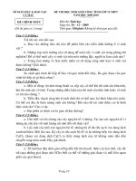 Đề thi học sinh giỏi tỉnh Cà Mau lớp 12 năm 2010 môn Sinh học