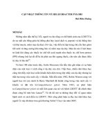 CẬP NHẬT THÔNG TIN VỀ HELICOBACTER PYLORI