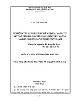 NGHIÊN CỨU SỰ PHÁT SINH BIẾN DỊ Ở M1 VÀ M2 TỪMỘT SỐ GIỐNG LÚA CHỊU HẠN KHI CHIẾU XẠ TIAGAMMA NGUỒN (Co60) VÀO HẠT NẢY MẦM