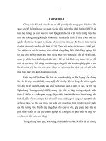 Giải pháp nâng cao hiệu quả hoạt động kinh doanh của Chi nhánh Nam Hà Nội - Ngân hàng Thương mại cổ phần Á Châu (ABC)