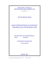 quản lý rủi ro tín dụng tại ngân hàng tmcp đông nam á chi nhánh bắc ninh