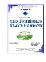 Nghiên cứu chế biến gelatin từ da cá tra bằng acid acetic