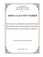 THỰC TRẠNG VÀ GIẢI PHÁP HẠN CHẾ RỦI RO TÍN DỤNG  ĐỐI VỚI KHÁCH HÀNG DOANH NGHIỆP TẠI NGÂN HÀNG TMCP CÔNG THƯƠNG - CHI NHÁNH THỪA THIÊN HUẾ