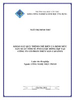 khảo sát quy trình chế biến và định mức sản xuất tôm sú pto luộc đông iqf tại công ty cổ phần thủy sản cafatex