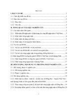 Nghiên cứu thực  trạng công tác quản lý rừng ngập mặn xã đồng rui – huyện tiên yên   tỉnh quảng ninh và đề xuất một số giải pháp nhằm bảo vệ và phát triển rừng”