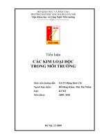 Tiểu luận  CÁC KIM LOẠI ĐỘC  TRONG MÔI TRƯỜNG