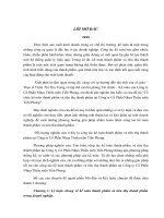 Tổ chức kế toán thành phẩm và tiêu thụ thành phẩm tại Công ty Cổ Phần Nhựa Thiếu niên Tiền Phong