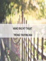 HÀNG RÀO KỸ THUẬT TRONG THƯƠNG MẠI