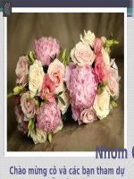 slide thuyết trình  TIỂU LUẬN môn vật liệu điện điện tử