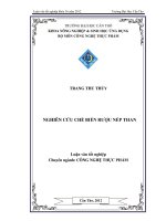 NGHIÊN CỨU CHẾ BIẾN RƯỢU NẾP THAN