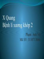 Bệnh lý x quang xương khớp
