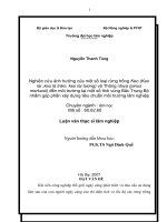 Nghiên cứu ảnh hưởng của một số loại rừng trồng Keo và Thông nhựa  đến môi trường tại một số tỉnh vùng Bắc Trung Bộ nhằm góp phần xây dựng tiêu chuẩn môi trường lâm nghiệp