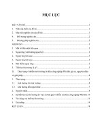 Ngoại ứng tiêu cực do khu công nghiệp phú bài gây ra, thực trạng, nguyên nhân và giải pháp