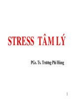 Bài Giảng Stress Tâm Lý