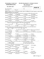 Đề kiểm tra học kì II môn Tiếng Anh lớp 12 năm học 2010 - 2011 (Sở GD và ĐT Đà Nẵng)