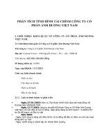 Tiểu luận: Phân tích tình hình tài chính công ty cổ phần Ánh Dương Việt Nam