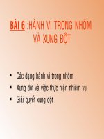Hành Vi Trong Nhóm Và Xung Đột