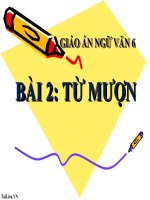 Bài giảng ngữ văn 6 bài 2 từ mượn5