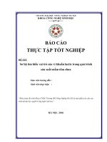 Sơ bộ tìm hiểu vai trò của vi khuẩn lactic trong quá trình sản xuất mắm tôm chua