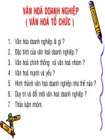 Văn Hóa Doanh Nghiệp - Văn Hóa Tổ Chức