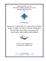 khảo sát ảnh hưởng của một số loại nông dược và thức ăn nhân tạo đối với bọ rùa sáu vệt đen (menochilus sexmaculatus fab.) trong điều kiện phòng thí nghiệm