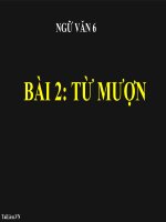 Bài giảng ngữ văn 6 bài 2 từ mượn 