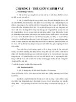 Bài giảng vi sinh vật kỹ thuật môi trường