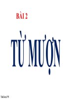 Bài giảng ngữ văn 6 bài 2 từ mượn3