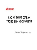 Chuong 1 sinh học phân tử