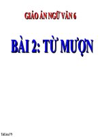 Bài giảng ngữ văn 6 bài 2 từ mượn2