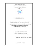 Nghiên cứu mức độ cảm nhiễm và đặc điểm mô bệnh học của bệnh do ký sinh trùng perkinsus spp  gây ra trên tu hài (lutraria rhynchaena), nghêu bến tre (meretrix lyrata) 