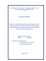 nghiên cứu tác dụng diệt khuẩn in vitro của dịch chiết lá cây huyền diệp (polyalthia longifolia var.pendula hort) trên vi khuẩn e.coli, salmonella spp phân lập từ phân chó tiêu chảy và thử nghiệm điều trị.