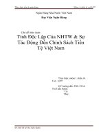 TÍNH ĐỘC LẬP CỦA NGÂN HÀNG TRUNG ƯƠNG SỰ TÁC ĐỘNG ĐẾN CHÍNH SÁCH TIỀN TỆ VIỆT NAM