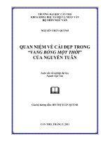 quan niệm về cái đẹp trong vang bóng một thời của nguyễn tuân 