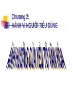 Hành Vi Người Tiêu Dùng 2 - Văn Hóa