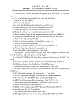 Bộ câu hỏi ôn tập Luật hình sự