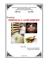 Vi sinh vật thực phẩm phô mai camembert