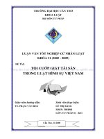 tội cướp giật tài sản trong luật hình sự việt nam