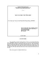 Báo cáo thực tập tổng hợp tại Công ty xuất nhập khẩu Hàng Không AIRIMEX