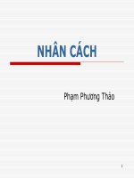 Bài Giảng Nhân Cách – Phạm Phương Thảo